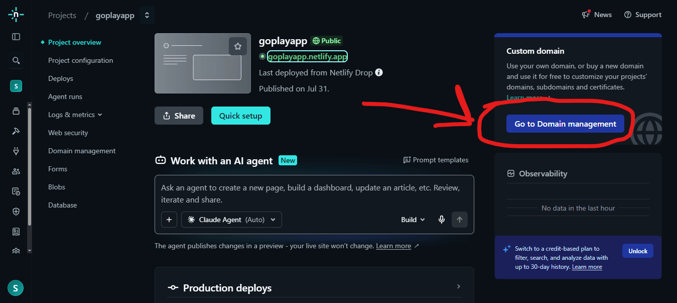 Netlify project dashboard showing Custom domain button