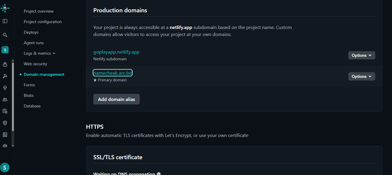 Netlify domain successfully configured and live