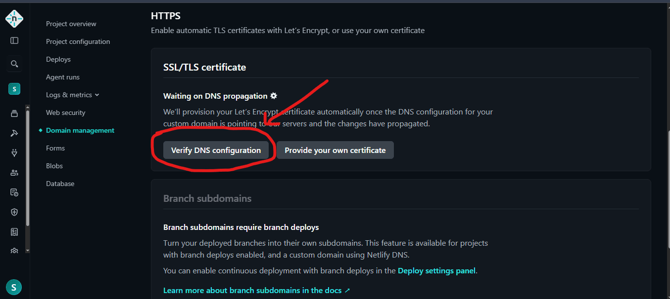 Netlify SSL certificate waiting on DNS propagation
