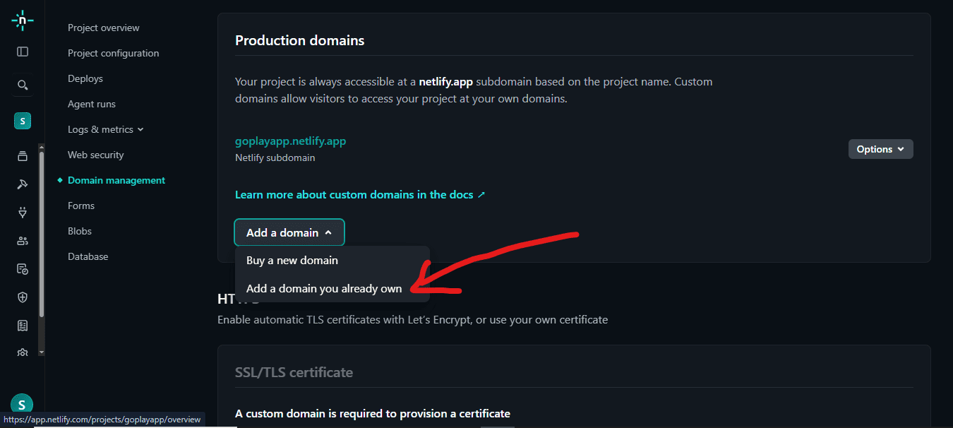 Domain management page with Add a domain options