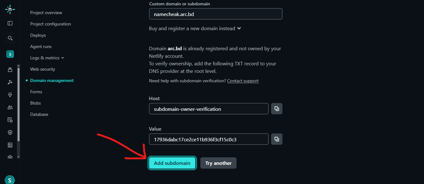 Netlify TXT verification record details