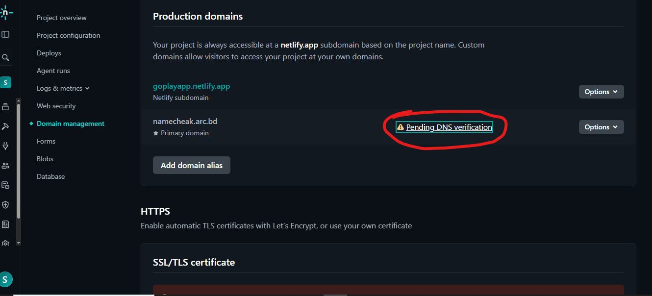 Netlify production domains showing Pending DNS verification