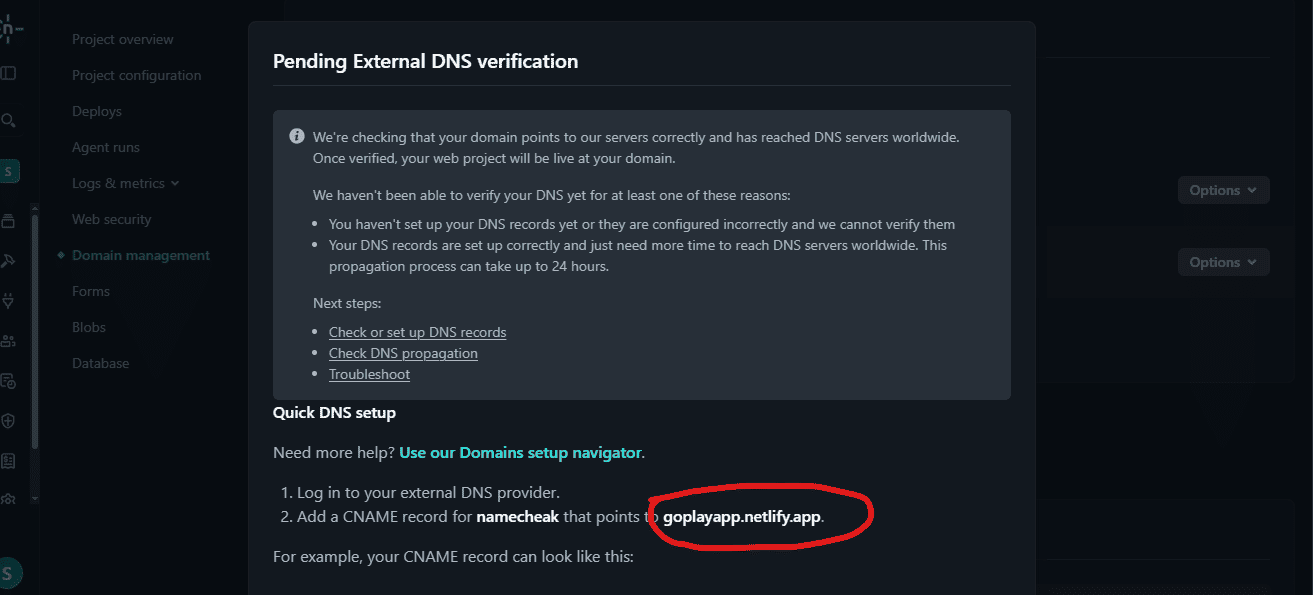 Netlify pending external DNS verification status